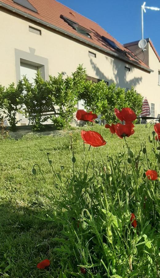 Le Feneau Maison D'Hotes Creuzier-le-Neuf Kültér fotó
